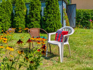Red watering can positioned among vibrant flowering plants in colorful summer garden setting