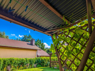 Fototapeta premium Wooden garden pergola with lattice design creating dappled sunlight patterns over outdoor relaxation area