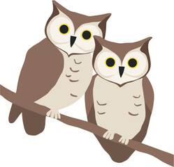 Owls vector illustration