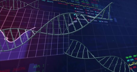 Scrolling data initiating DNA helix drifting grid appearing percentage labels rising for analysis - Powered by Adobe