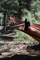 A cozy hammock is hanging in a serene woodland setting, surrounded by the beauty of nature. Relaxing in a colorful striped hanging hammock in summer forest. Man's legs, that sleeps in hammock. 