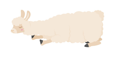 Cute cartoon llama. Vector illustration isolated on white background. Llama cartoon design, Animal cute zoo life nature character childhood and adorable theme Vector illustration