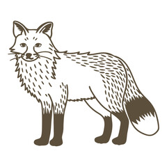 Hand Drawn Fox Outline Illustration
