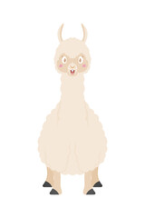 Cute cartoon llama. Vector illustration isolated on white background. Llama cartoon design, Animal cute zoo life nature character childhood and adorable theme Vector illustration