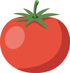 Ripe red tomato with green stem