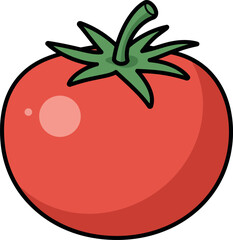 Ripe red tomato illustration