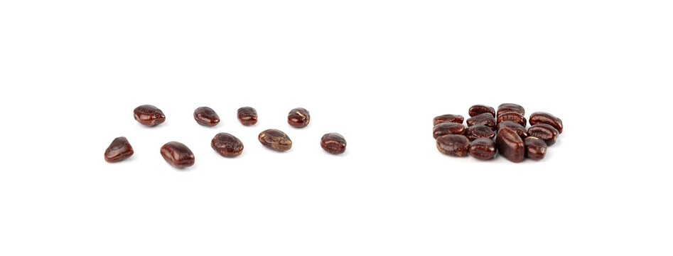 Dried tamarind seeds isolated, Tamarindus indica beans on a white background, medicine ingredient
