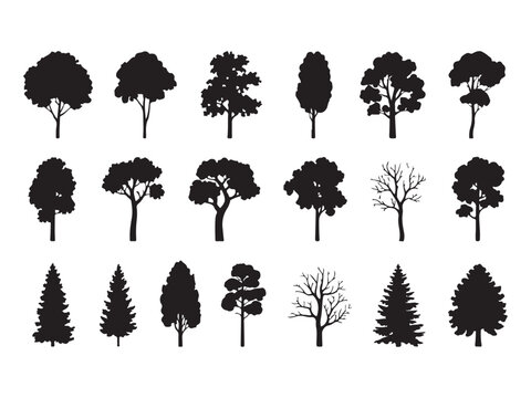 Silhouette of various tree types isolated on white background a collection of graphic elements depicting deciduous and coniferous trees for naturethemed designs