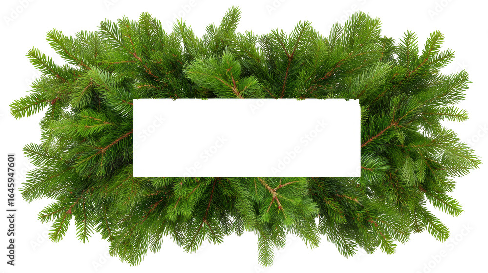 Poster christmas green pine branches isolated on transparent background with space for text