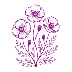 Elegant floral design featuring purple poppies, a botanical and artistic element isolated on white background, perfect for decorative and natural illustrations