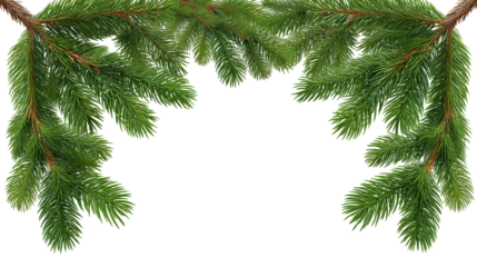 Christmas green pine branch isolated on transparent background with natural look