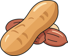 Hand drawn peanut illustration