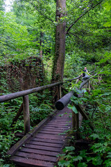 Hiking in the Black Forest