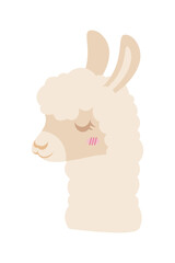 Cute cartoon llama. Vector illustration isolated on white background. Llama cartoon design, Animal cute zoo life nature character childhood and adorable theme Vector illustration