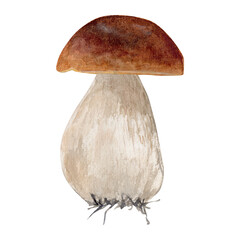 Watecrolor hand drawn white mushroom. The atrwork captures the natural texture and earthy tones of the mushroom. Perfect for botanical collections, kitchen decor, or nature inspired designs