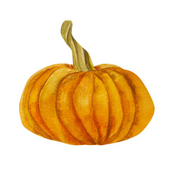 Watercolor hand drawn autumn illustration of an orange pumpkin. Harvest vegetable isolated. Perfect for fall design, Thanksgiving decor, Hallowen decor, seasonal invitations, and botanical prints