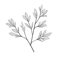 Naklejka premium Elegant botanical illustration of a branch with leaves in black and white ideal for minimalist design and nature themed projects invitations and decorative elements for your creative projects