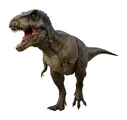 Fototapeta premium Dinosaur encounter t-rex in action digital creation isolated environment eye-level perspective. Cut out png