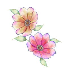 New digital flowers and leaves for watercolor brushes effect flower bunch.