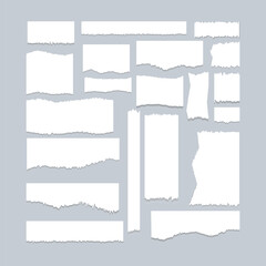 Torn Paper Pieces Collection