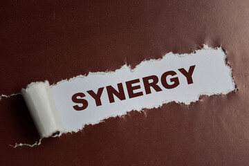 Synergy Text written in torn paper