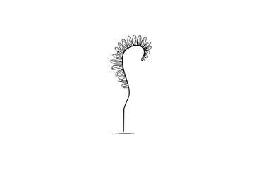 A simple line drawing of a plant with leaves clustered at the top and a slender stem shape design