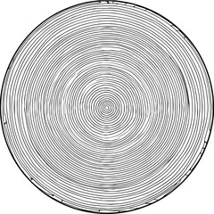 Illustration of a circular cross section of a tree trunk with visible growth rings in black and white