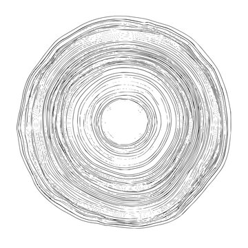 Abstract concentric circles with irregular lines resembling a tree trunk cross section art piece