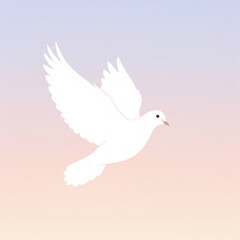 dove in the sky
