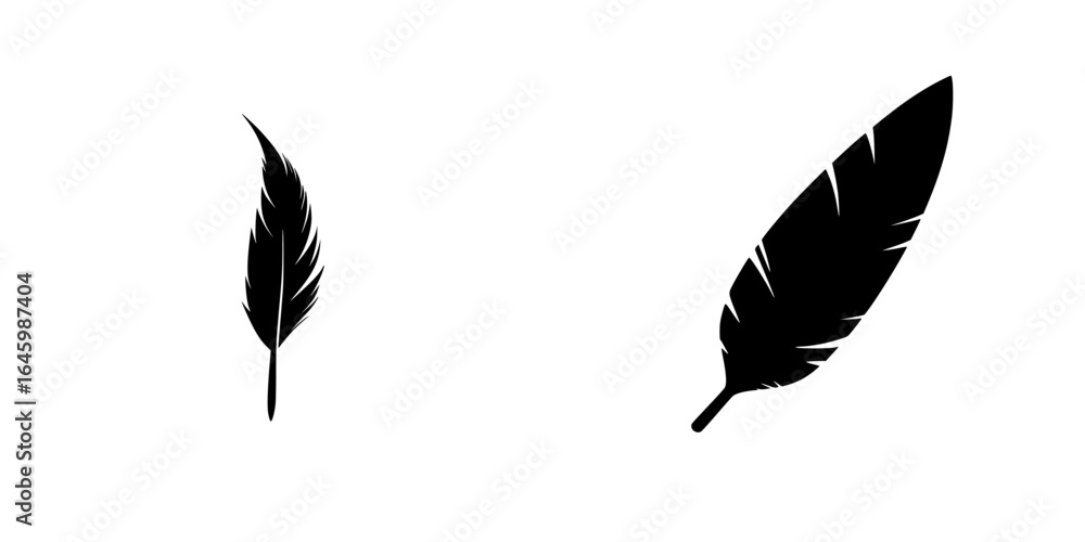 Poster elegant black feathers contrasting in size, showcasing intricate textures and shapes on a white back
