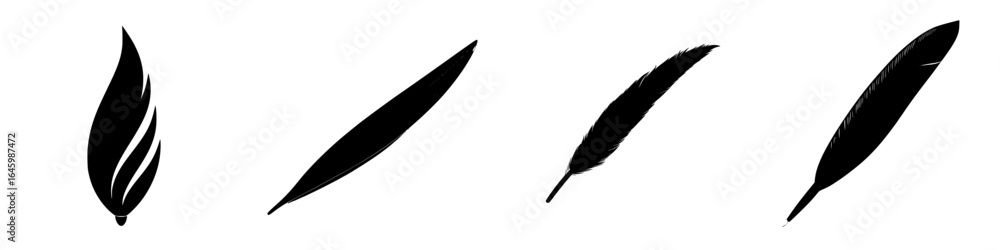 Poster various black feather designs arranged in sequence showcasing different shapes and styles for artist