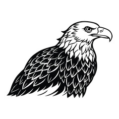 Fototapeta premium Silhouette of bald eagle isolated on a white background