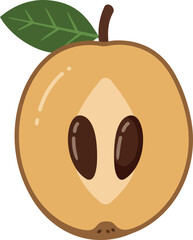 Fresh sapodilla fruit slice with seeds