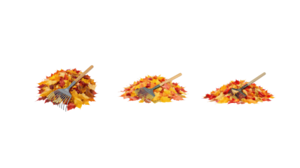 Rake autumn leaves on transparent background png