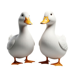 Fototapeta premium Two adorable white ducks standing side by side looking forward with bright orange beaks and soft fluffy feathers isolated on transparent background