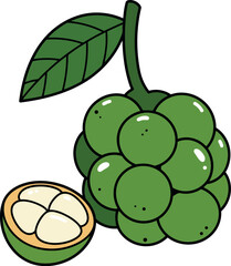 Green custard apple fruit bunch with leaf