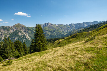 Fototapeta premium Landschafi in den Allgäuer Hochalpen an einem Wanderweg zum Sonnenkopf bei Hinang Sonthofen