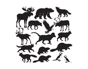 Vector outlines of North American wildlife, a lot of them are located in Alaska and Canada

