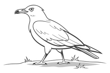  Seagull Bird Standing Coloring Page - Printable Wildlife Design