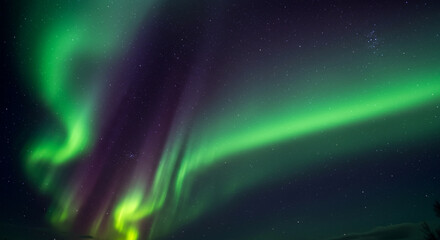 Vibrant green and purple aurora borealis dancing across a starry night sky northern lights