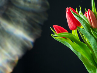 A bouquet of red tulips sits on a wooden table. The flowers are arranged in a vase and are in full bloom, creating a vibrant and cheerful atmosphere. Mothers or valentine day present.