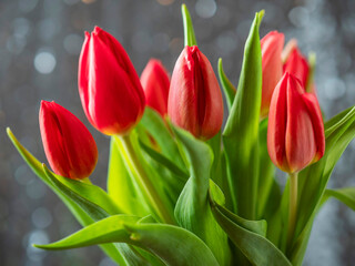A bouquet of red tulips with dew drops on their petals. The flowers are arranged in a vase and the background is a blurry grey with glitter cloth.