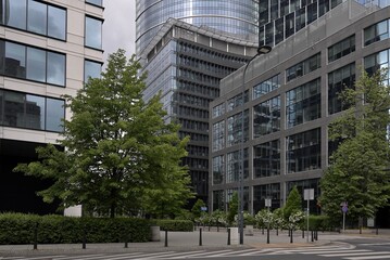 Ecodesign and modern architectureTrees, improvement of quiet streets of big cities. Warsaw - green ...