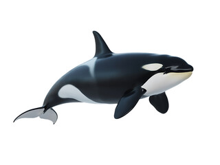 Fototapeta premium Majestic orca killer whale swimming gracefully isolated on transparent background