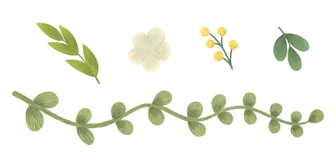 A set of plant trinkets for design: twigs, leaves, blades of grass in green. Handmade illustrations, watercolors, and pastels. Isolated. For design