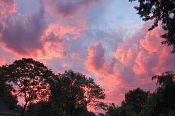 Fototapeta premium Dramatic sunset sky over trees
