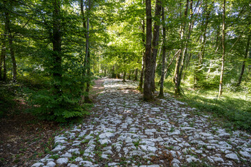 Voie romaine de Faverolles, France