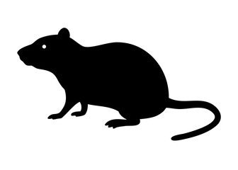 Obraz premium Rat Rodent Animal Silhouette 