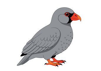 Fototapeta premium A detailed illustration of a unique gray bird with a bright orange beak and feet standing proudly