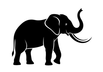 Obraz premium Majestic african elephant silhouette walking gracefully with raised trunk and tusks
